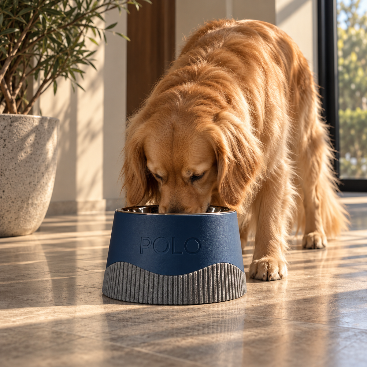 Comedor by MILANO PET DESIGN