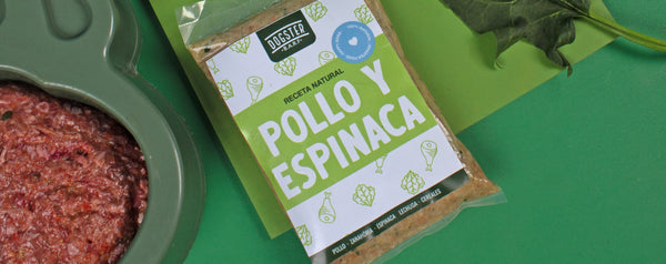 🐱 Receta Pollo Espinaca