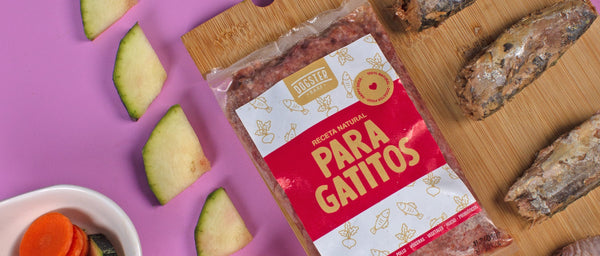 🐱 Receta para Gatos