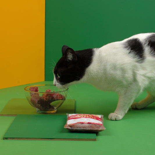 Combo iniciación gatitos