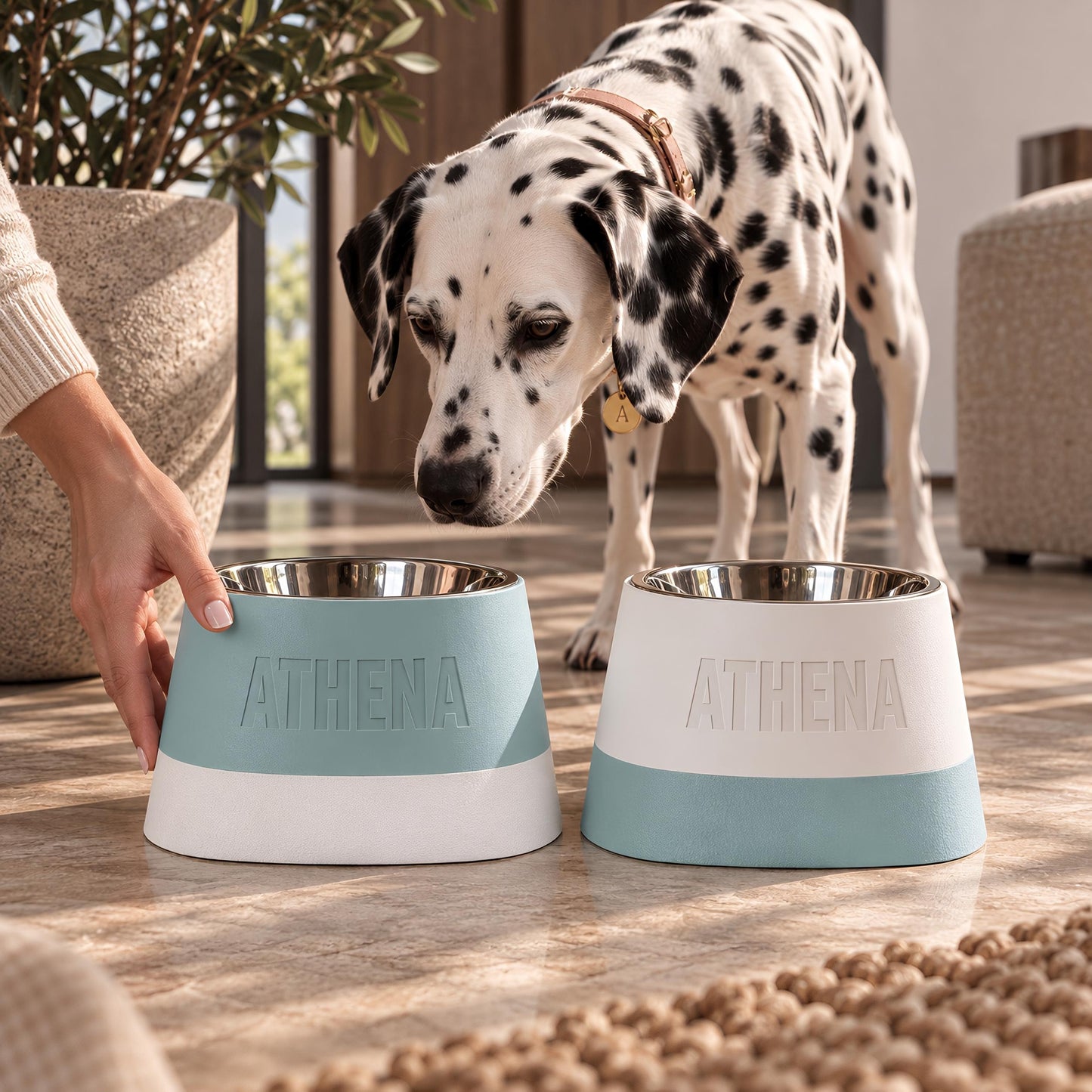 Comedor by MILANO PET DESIGN